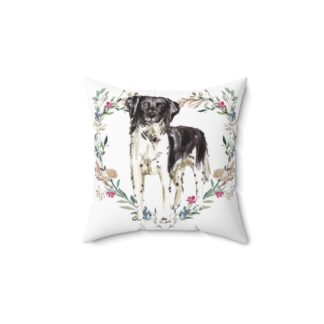 Stabyhoun Pillow