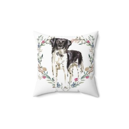 Stabyhoun Pillow